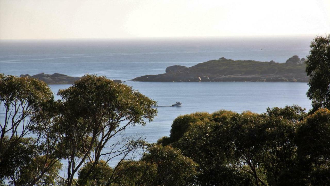 Bay Of Fires Seachange Ocean Frontage Binalong Bay Zewnętrze zdjęcie